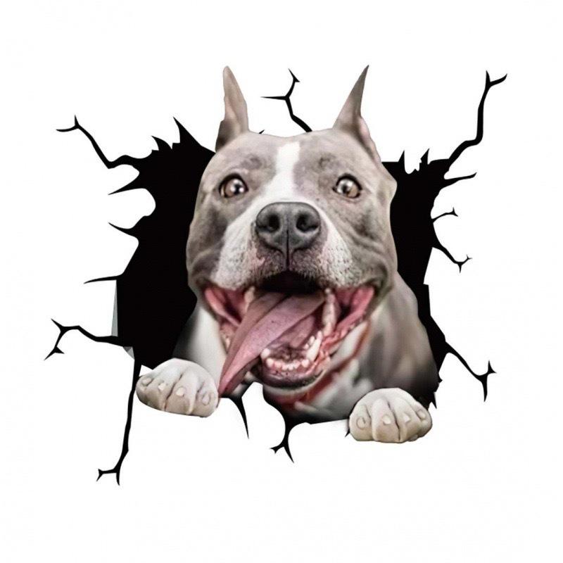Sticker Creativ Design Crăpătură Animal de Companie pentru Perete și Mașină - Autocolant Personalizat Câine din Sticlă