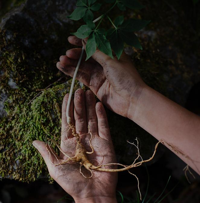 The history of whoo Hwanyugo 60ml Special Set