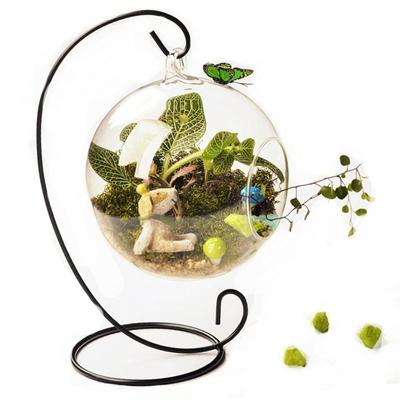 Hanging Ecological Bottle With Iron Holder Glass Vase Creative Micro Landscape Diy Gifts Home Decor