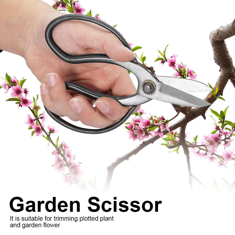Stainless Steel Robust Scissors, Comfortable Handle, Suitable for Cutting Garden Flowers,   Utility Scissors with   Steel Material