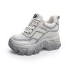 Inner height increase autumn and winter new breathable dad shoes platform mesh small dirty shoes sports and leisure shoes