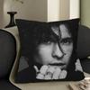 S-Shawn-Mendes Pop-Melodic Office Cushion Pillowcase Car Cushion Cover45X45CM Lumbar Pillowcase Sofa Pillowcover