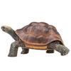 Mojo Tortoise Figure 387259