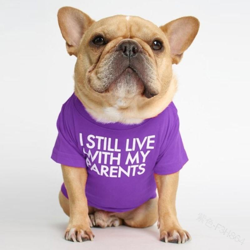 Round Neck T-Shirt for French Bulldog, Pug, Basset Hound, Shar Pei, Teddy, and Panda Dog. Large
