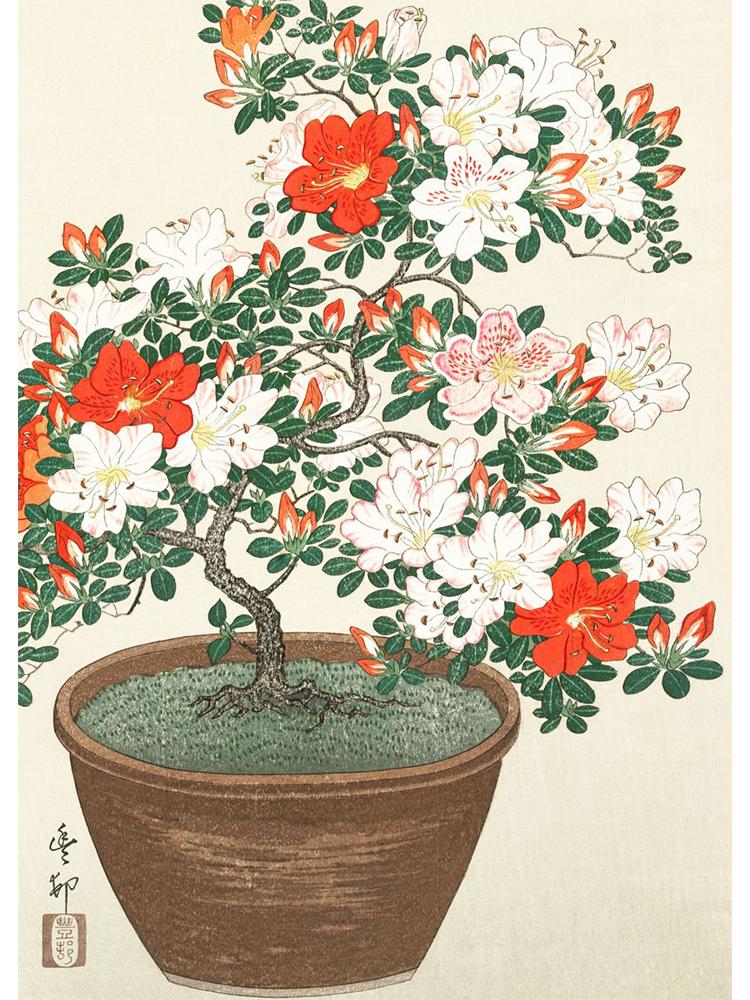Japan Artist Ohara Koson Classic Artwork Poster Canvas Painting Monkey Goose Flower Birds Wall Art For Living Room Home Decor