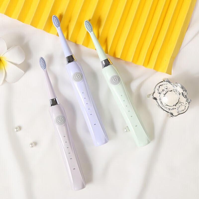 Skyworth Electric Toothbrush