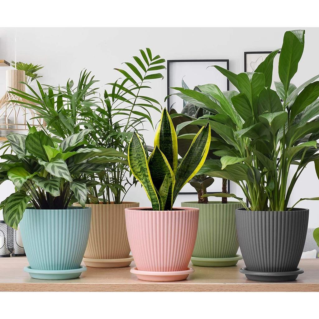 Plastic Round Flower Pot with Tray | Plant Pot for Home, Terrace, Garden Etc | Planter | Pack of 05 | Multicolor | Size 6.5 Inch