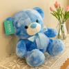 Rainbow Bear Doll Hug Bear Plush Toy Colorful Bear Doll Ragdoll Birthday Gift Women