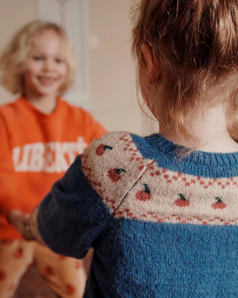 Autumn/Winter Knitted Sweater with Corduroy Skirt Set