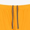 The North Face Ns6nr07k Ventrun Shorts Mango