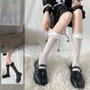 Women's Summer Mid-Calf Lace Lolita White Socks