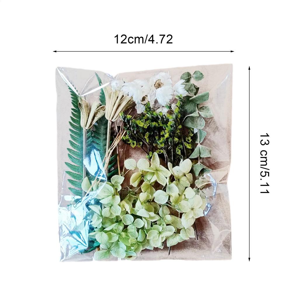 Natural Plants Dried StarrySky Flowers Preserved Materials Kit Epoxy Resin Candles Soap DIY Floral Materials Set Dried Flowers