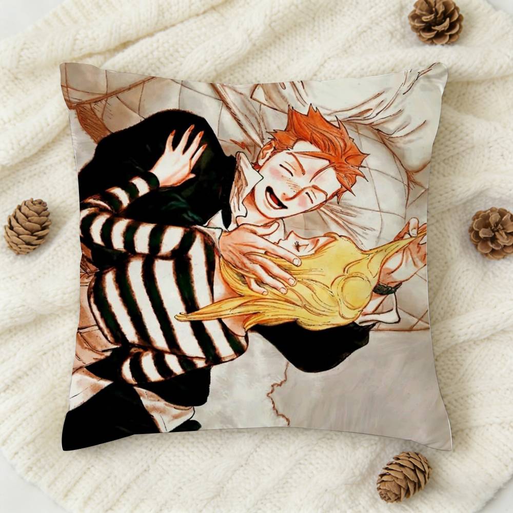Emma X Aleksander Veil Manga Double-Sided Printed Square Decorative Cushion Cover For Sofa Living Room Home Decor