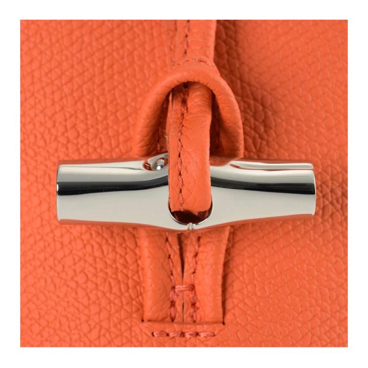 Longchamp Le Roseau Monochrome Stitching Detail Leather Shoulder Crossbody Phone Bag Women bags Orange 34180HPN017