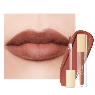 Oulac Matte Liquid Lipstick for Women, Brown Orange Tune Highly Pigmented Creamy Matte Lip Gloss,Rich Colour Formula with Vitamin E & Rose Oil, W