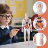 Produtos para escola – Equipamentos escolares