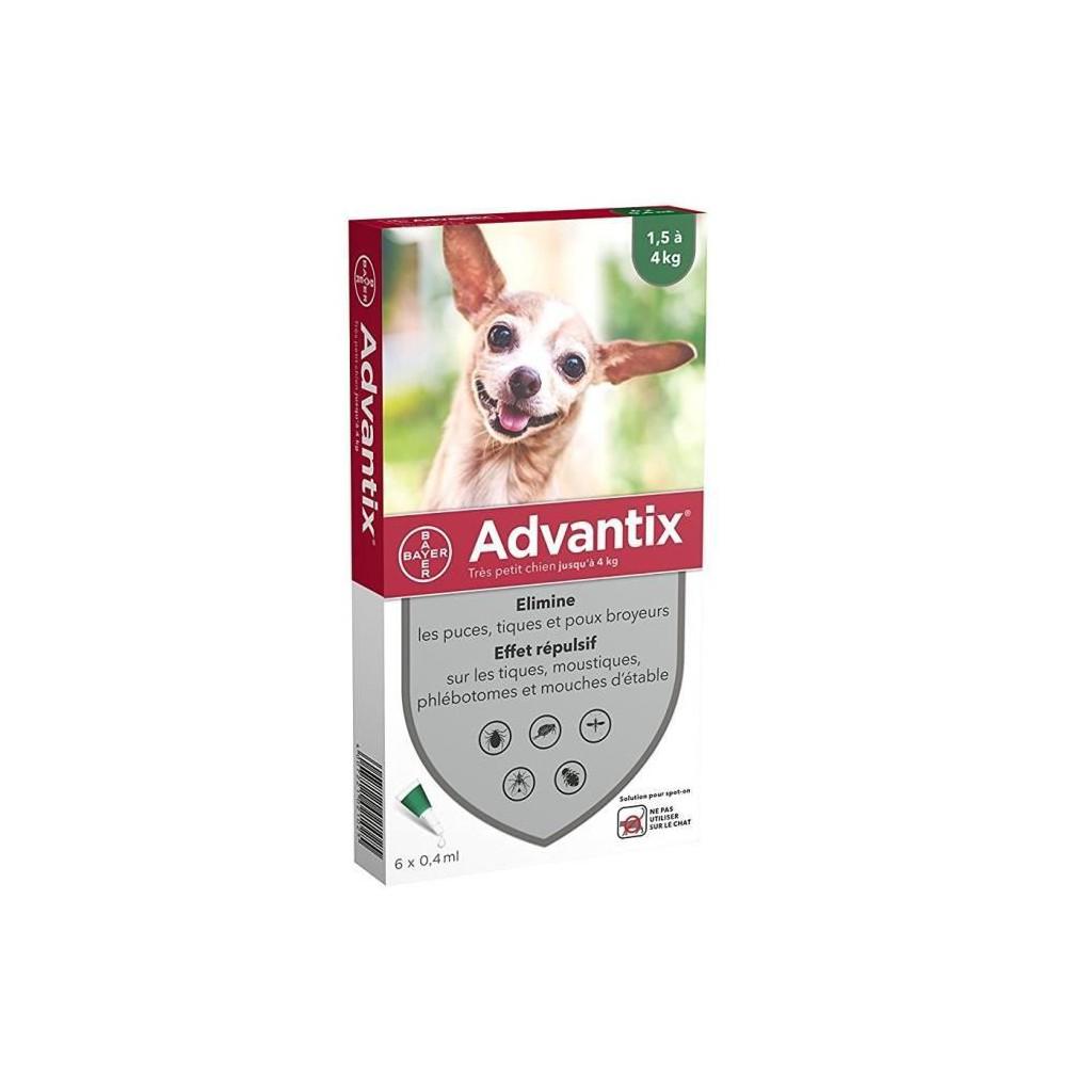 advantix chihuahua