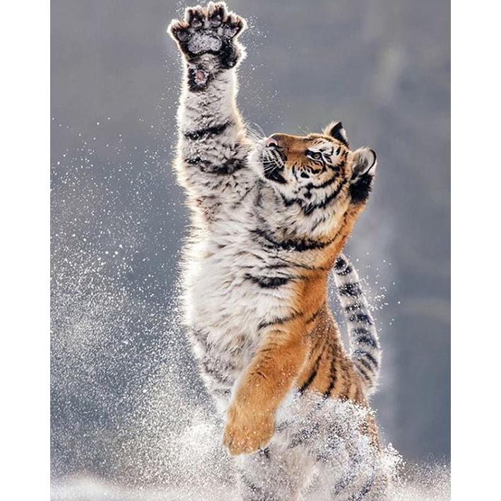 

5D DIY Алмазная картина Полный круглый дрель Вышивка крестиком Ремесло Алмазная вышивка Полный комплект Новое поступление Горный хрусталь Мозаика Домашний декор Ремесленный комплект 15x20CM