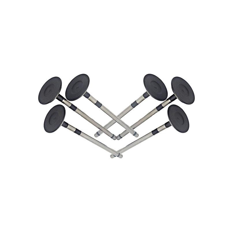 Suitable for Toyota Land Cruiser Prado(2TR 2.7L) 2004-2015 Exhaust Valve