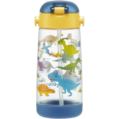 Skater Dinosaur Picture Water Bottle, 480ml Clear Bottle with Straw, for Boys, PDSH5-A