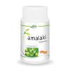 JAIN Amla Capsules 120 Count X Pack of 2 Natural Ayurvedic Supplement for Wellness and Energy Support