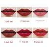 Douyin-Inspired Lipstick: Non-Transfer, Waterproof, Sweatproof, Light, Moisturizing Lip Balm for Students & Parties