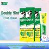 Double Mint Fresh Clean Toothpaste