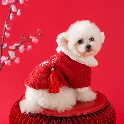 Hund Herbst und Winter Lammwolle verdickt Tang-Anzug Teddy zweibeiniger wattierter Baumwollmantel Chinesisches Neujahr festlich Katze warm Haustierkleidung