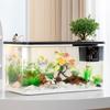 Clear Fishtanks With Safe Lid and Water Plant Holder For Gold Fish Home Desktop Decoration Aquariums Tanks