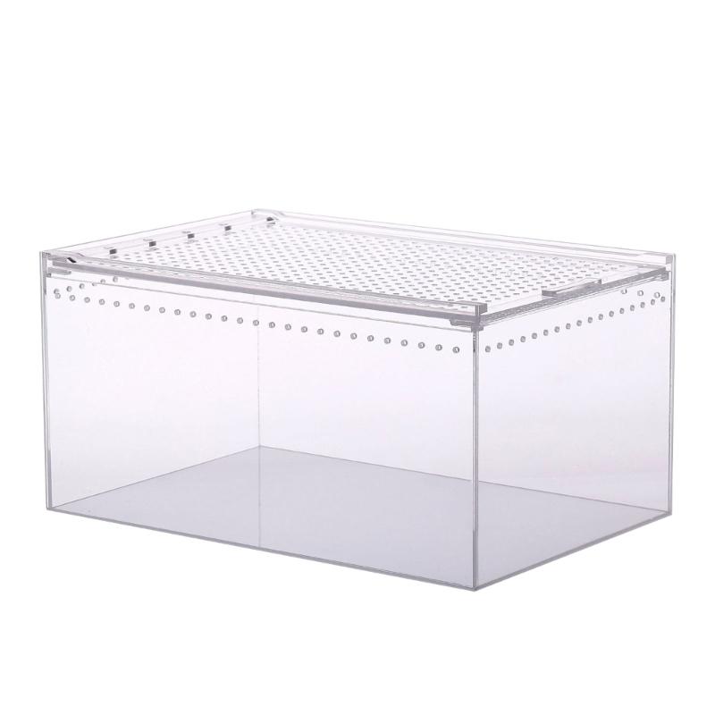 Terrarium Large Feeding Habitat Box for Small Animals Insect Home Office X3UC