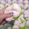 Shapable Crunchy Squeeze Non-bounce Blocks Filled Squishy Creative Pistachio Squishy  Student Prize