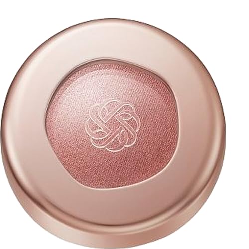 

Cosme Decorte Eye Glow Gem Skin Shadow 22M 6g