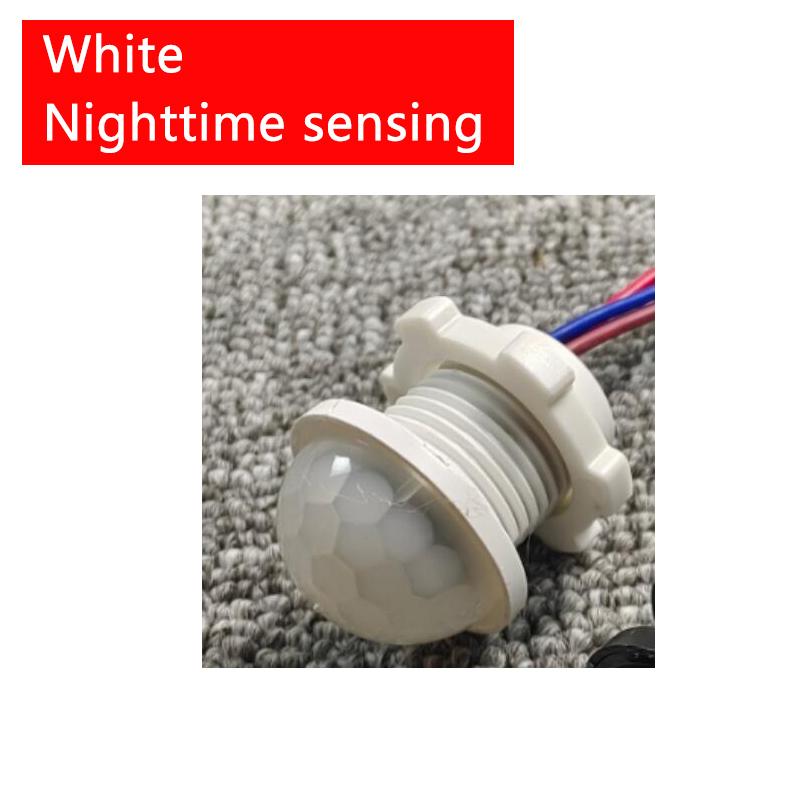 Mini embedded 220V outdoor waterproof human body infrared sensing switch LED rainproof intelligent sensor probe