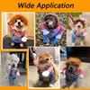 Dog Halloween Costumes Pet Deadly Doll Dog Costume Funny Dog Costumes Halloween Costume Clothes for Small Medium Pets