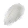 Décoration Plumes d'Autruche Toucher Doux Confortable 45x10x1cm Plumes d'Autruche Blanches Pour Fête Maison
