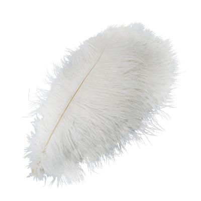 Decorazione con Piume di Struzzo Morbida e Confortevole al Tatto 45x10x1cm Piume di Struzzo Bianche Per Feste Casa