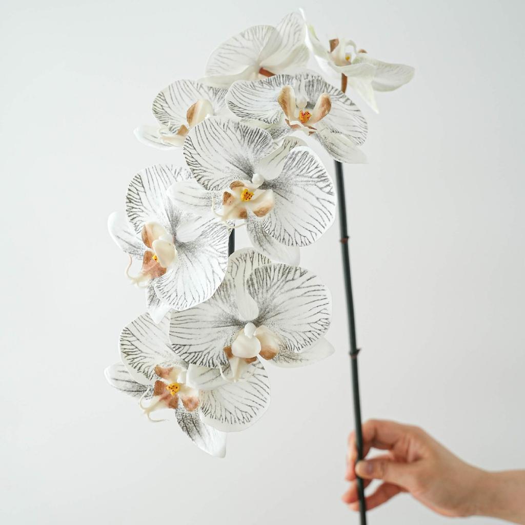 High Quality Luxury Flowers Latex 8 Heads Butterfly Orchids Artificial Real Touch Phalaenopsis Orchid Wedding Decor