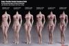 OBEST TBLeague Escala Figura Femenina Sin Costuras Mediana Piel Blanca 1/6, PLMB2017-S18A, Figura Ultra-Flexible, Busto,