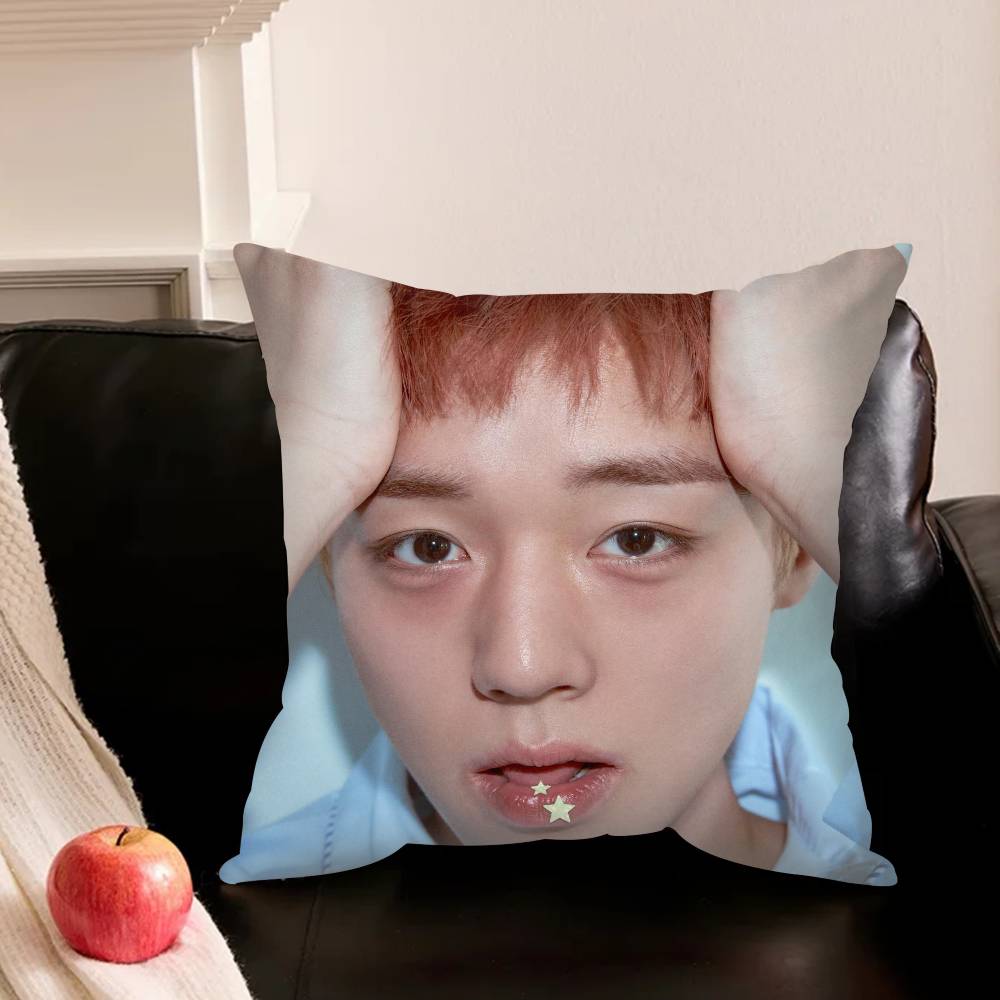 Handsome Talented Idol P-Park Ji-Hoon Pillowcase Living Room Sofa Cushion Cover Bedroom Room Bed Pillow Cover Home Decoration