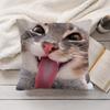 Speechless Cat Funny Cute Cushion Cover Silky Short Plush Invisible Zipper Dustproof Sofa Pillow Case For Home Decor