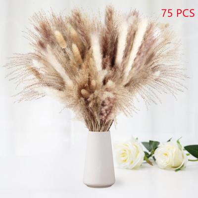 75 PCS Natural Dried Pampas Grass Decor 17Inch for Flower Arrangements Wedding Home Decor