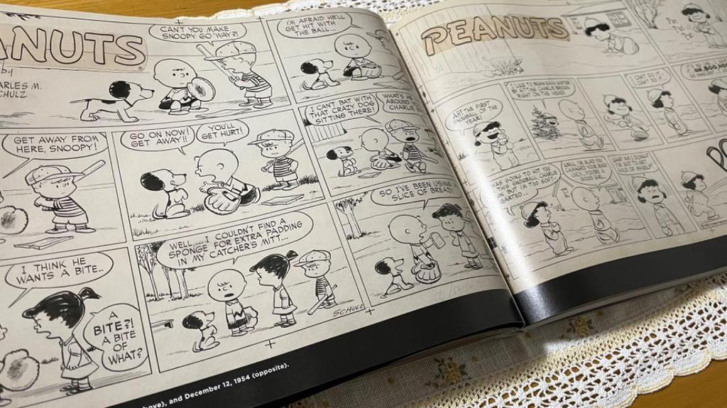 [USED] Snoopy Peanuts 65th Anniversary Art Book