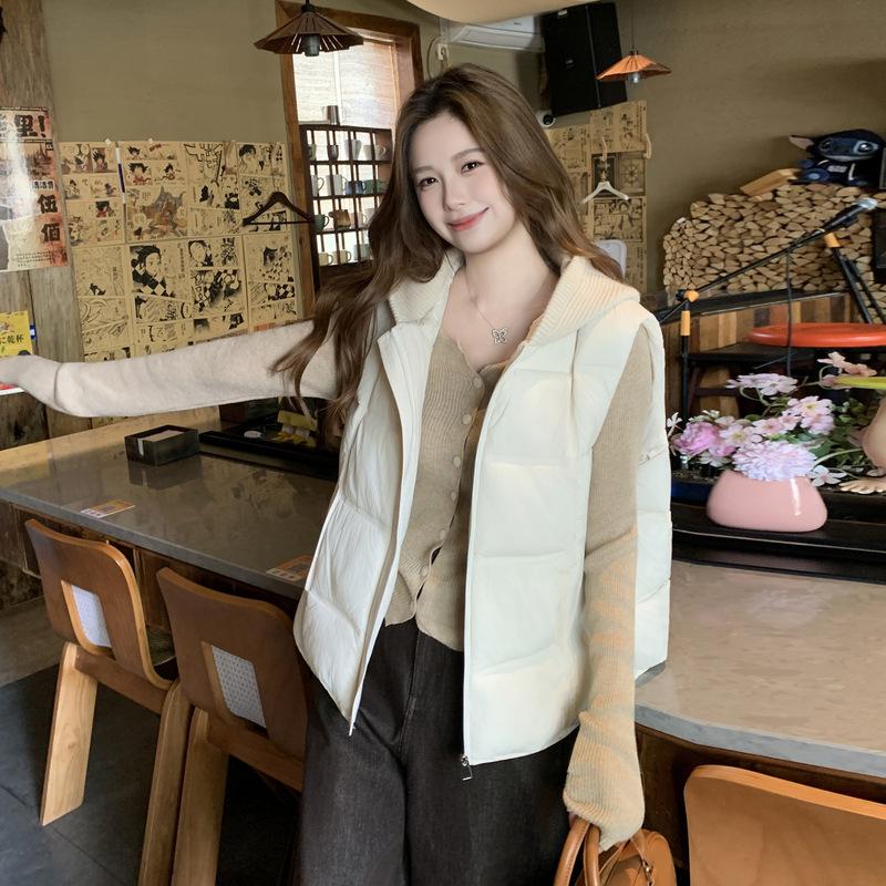 Winter Puff Grid Vest New Foreign Gas Cotton Thickened Hooded Vest Vest Outer Wear