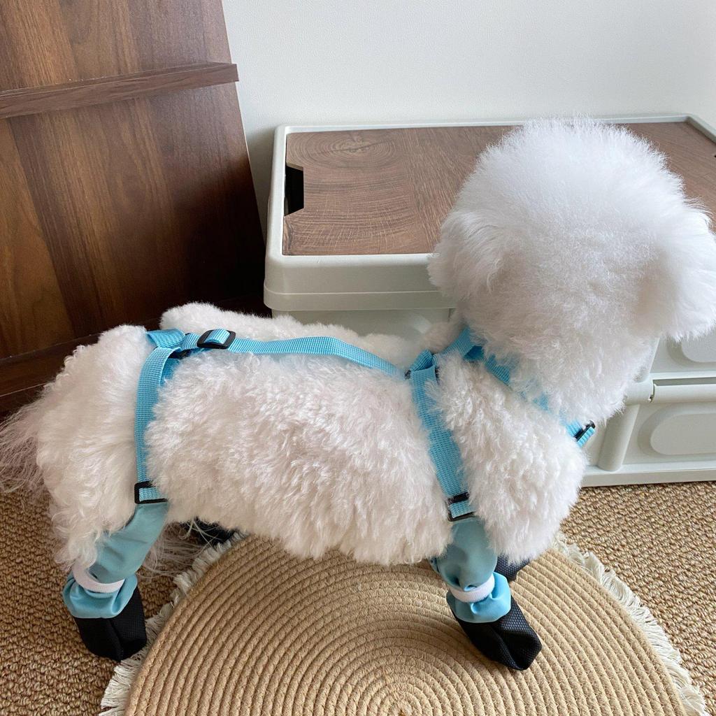 All-Season Ultra-Light Dog Shoes - Secure, Dirt-Resistant, Full Coverage Rain Boots for Small Pets