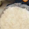 Cartoon Running Wolf Plush Toy Fluffy Animal Plushies Dolls Cartoon Stuffed Animals  Kids Toys