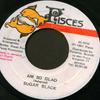 7inch Record SUGAR BLACK  Am So Glad NONE Pisces Studio Jamaica Reggae Ska  Dub Used