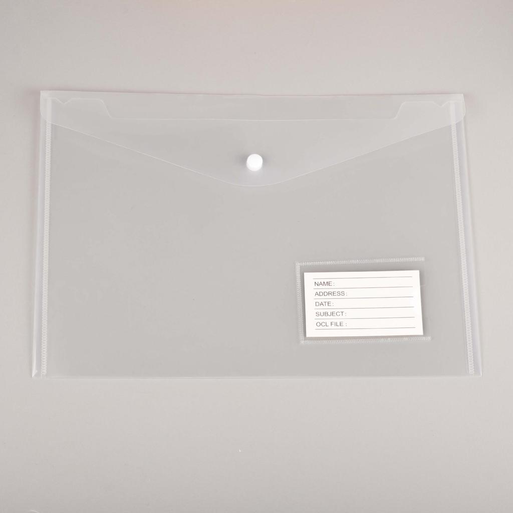 Custom Transparent File Bags with Cartoon Design and Snap Button Closure - A4 & A5 Sizes