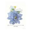 Hair Accessories Artificial Flowers Hair Clip Photo Props Simulated Flower Headpiece  Girls