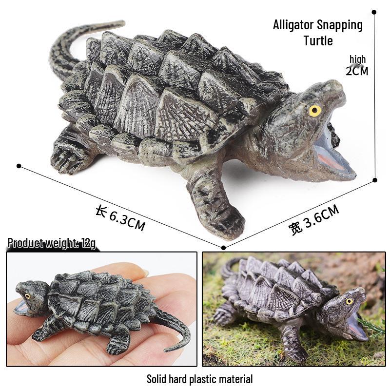 Children's Cognitive Marine Animal Models: Sea Turtle and Tortoise Toys