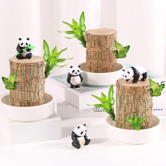 

Бразильское дерево гидропонное растение Lucky Wood Растение бразильское дерево простое в уходе настольное бонсай для украшения домашнего офиса очистка воздуха A